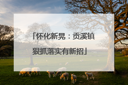 怀化新晃：贡溪镇狠抓落实有新招