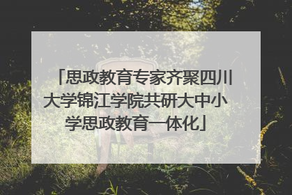 思政教育专家齐聚四川大学锦江学院共研大中小学思政教育一体化