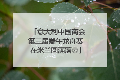意大利中国商会第三届端午龙舟赛在米兰圆满落幕