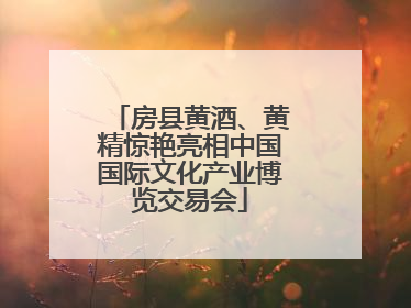 房县黄酒、黄精惊艳亮相中国国际文化产业博览交易会