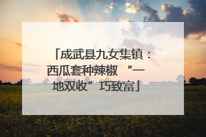 成武县九女集镇：西瓜套种辣椒 “一地双收”巧致富