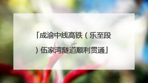 成渝中线高铁（乐至段）伍家湾隧道顺利贯通