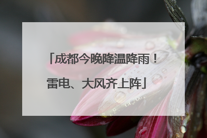 成都今晚降温降雨！雷电、大风齐上阵