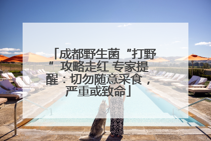 成都野生菌“打野”攻略走红 专家提醒：切勿随意采食，严重或致命