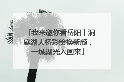我来邀你看岳阳丨洞庭湖大桥彩绘换新颜，一城湖光入画来