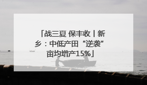 战三夏 保丰收丨新乡：中低产田“逆袭” 亩均增产15%