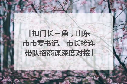 扣门长三角，山东一市市委书记、市长接连带队招商谋深度对接