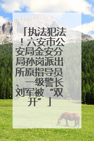 执法犯法！六安市公安局金安分局孙岗派出所原指导员、一级警长刘军被“双开”