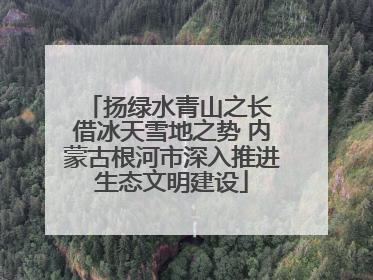 扬绿水青山之长 借冰天雪地之势 内蒙古根河市深入推进生态文明建设