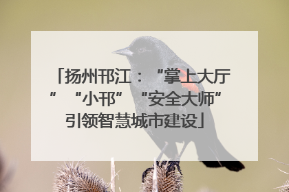 扬州邗江：“掌上大厅”“小邗”“安全大师”引领智慧城市建设