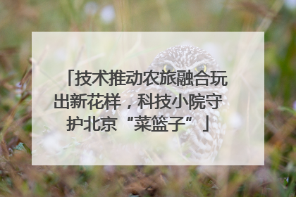 技术推动农旅融合玩出新花样，科技小院守护北京“菜篮子”