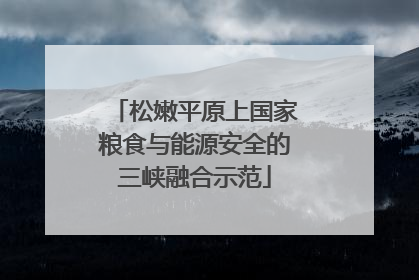 松嫩平原上国家粮食与能源安全的三峡融合示范