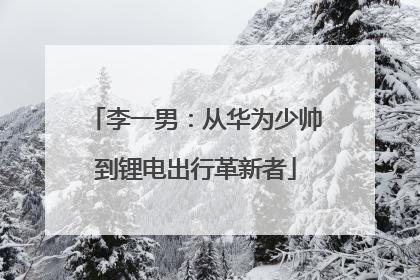 李一男：从华为少帅到锂电出行革新者