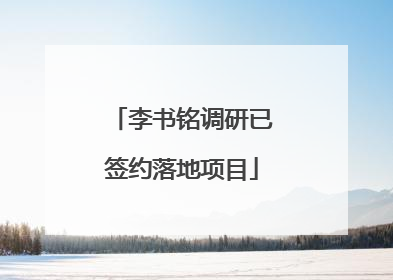 李书铭调研已签约落地项目