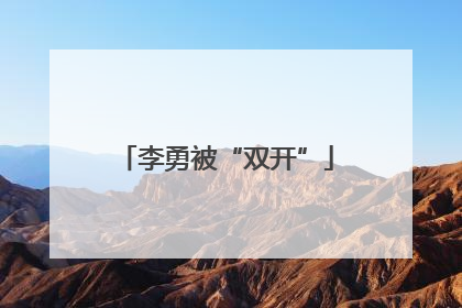 李勇被“双开”