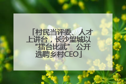 村民当评委、人才上讲台，长沙望城以“擂台比武” 公开选聘乡村CEO