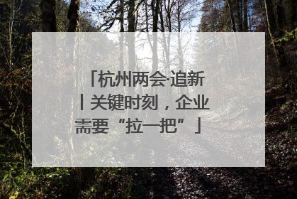 杭州两会·追新丨关键时刻，企业需要“拉一把”