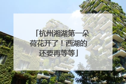 杭州湘湖第一朵荷花开了！西湖的还要再等等