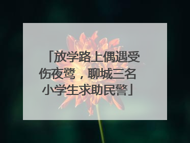 放学路上偶遇受伤夜鹭，聊城三名小学生求助民警