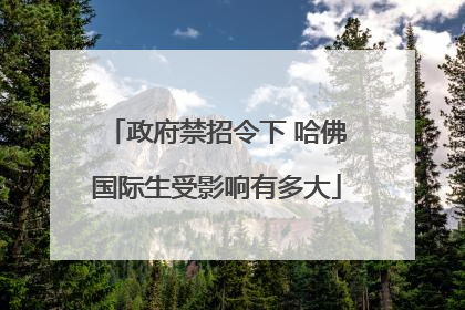 政府禁招令下 哈佛国际生受影响有多大