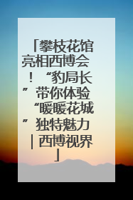 攀枝花馆亮相西博会！“豹局长”带你体验“暖暖花城”独特魅力｜西博视界
