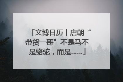 文博日历丨唐朝“带货一哥”不是马不是骆驼，而是……
