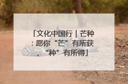 文化中国行｜芒种：愿你“芒”有所获，“种”有所得