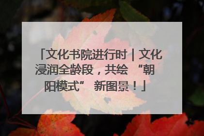文化书院进行时｜文化浸润全龄段，共绘 “朝阳模式” 新图景！