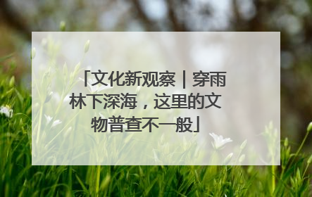 文化新观察｜穿雨林下深海，这里的文物普查不一般