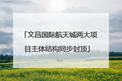 文昌国际航天城两大项目主体结构同步封顶
