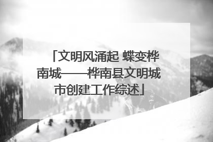 文明风涌起 蝶变桦南城——桦南县文明城市创建工作综述