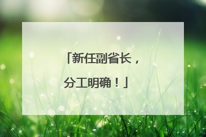 新任副省长，分工明确！