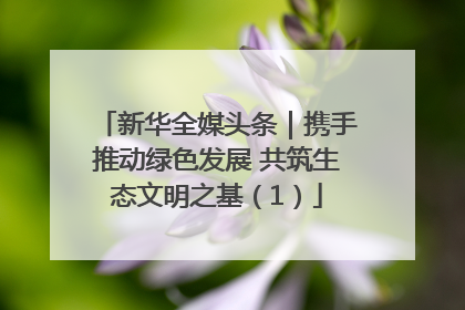 新华全媒头条｜携手推动绿色发展 共筑生态文明之基（1）