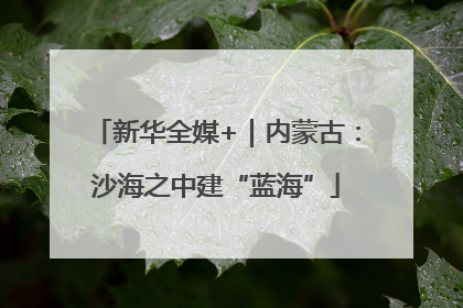 新华全媒+｜内蒙古：沙海之中建“蓝海”