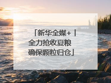 新华全媒+丨全力抢收夏粮 确保颗粒归仓