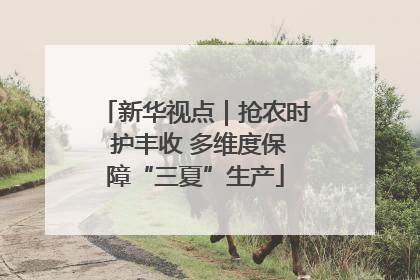 新华视点｜抢农时 护丰收 多维度保障“三夏”生产
