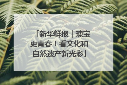 新华鲜报｜瑰宝更青春！看文化和自然遗产新光彩