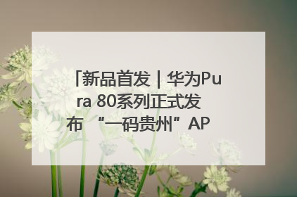 新品首发｜华为Pura 80系列正式发布 “一码贵州”APP抢先开售！