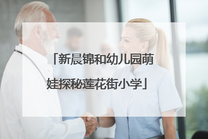 新晨锦和幼儿园萌娃探秘莲花街小学
