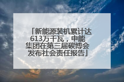 新能源装机累计达613万千瓦，申能集团在第三届碳博会发布社会责任报告