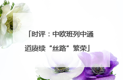 时评：中欧班列中通道赓续“丝路”繁荣