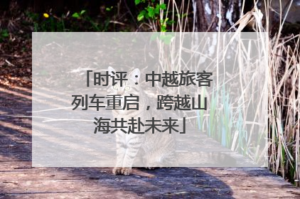 时评：中越旅客列车重启，跨越山海共赴未来