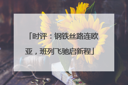 时评：钢铁丝路连欧亚，班列飞驰启新程