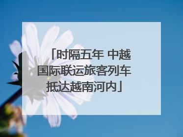 时隔五年 中越国际联运旅客列车抵达越南河内