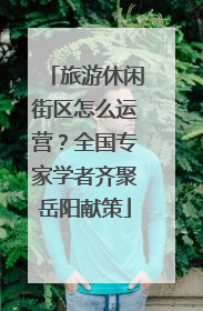 旅游休闲街区怎么运营？全国专家学者齐聚岳阳献策