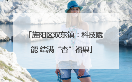 旌阳区双东镇：科技赋能 结满“杏”福果
