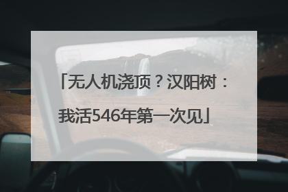 无人机浇顶？汉阳树：我活546年第一次见