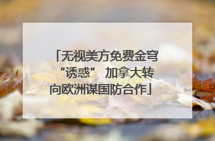 无视美方免费金穹“诱惑” 加拿大转向欧洲谋国防合作