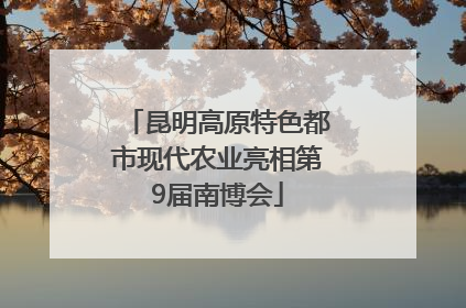 昆明高原特色都市现代农业亮相第9届南博会