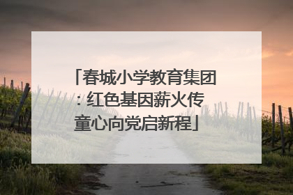 春城小学教育集团：红色基因薪火传 童心向党启新程